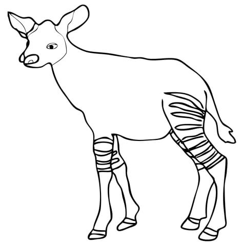 Baby Okapi (Calf Okapi) Coloring Page